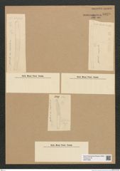 Diatomeae indet. Zeichnungen Sammlung Grunow Nr. 6629 (NHMW-BOT-W0375399)